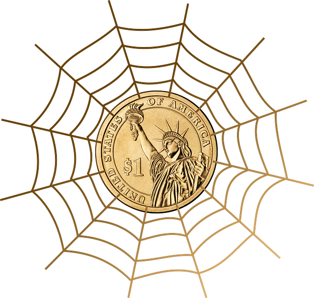 dolar v pavoučí síti