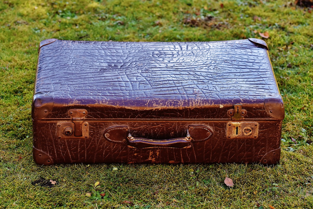kufr v trávě